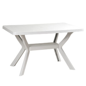 TABLE RECTANGULAIRE 120