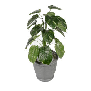 POT DE PLANTE ATLAS 20 L